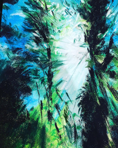 Treasure In The Backyard